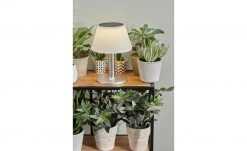 Garten Verkäufe 2024 -Garten Verkäufe 2024 11686526 2 202104212234