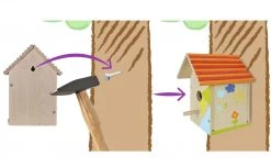 Vogelhaus zum Bemalen Outdoor -Garten Verkäufe 2024 13576048 11 202202160007