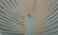 LED-Brunnen | Blau / Türkis / Braun -Garten Verkäufe 2024 13586870 6 202202011247